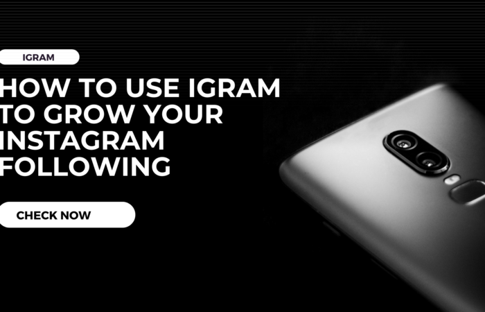 How to Use iGram to Grow Your Instagram Following